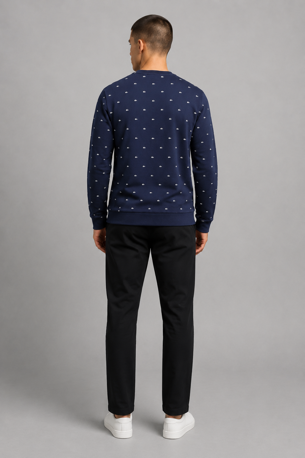 Lacoste Pullover