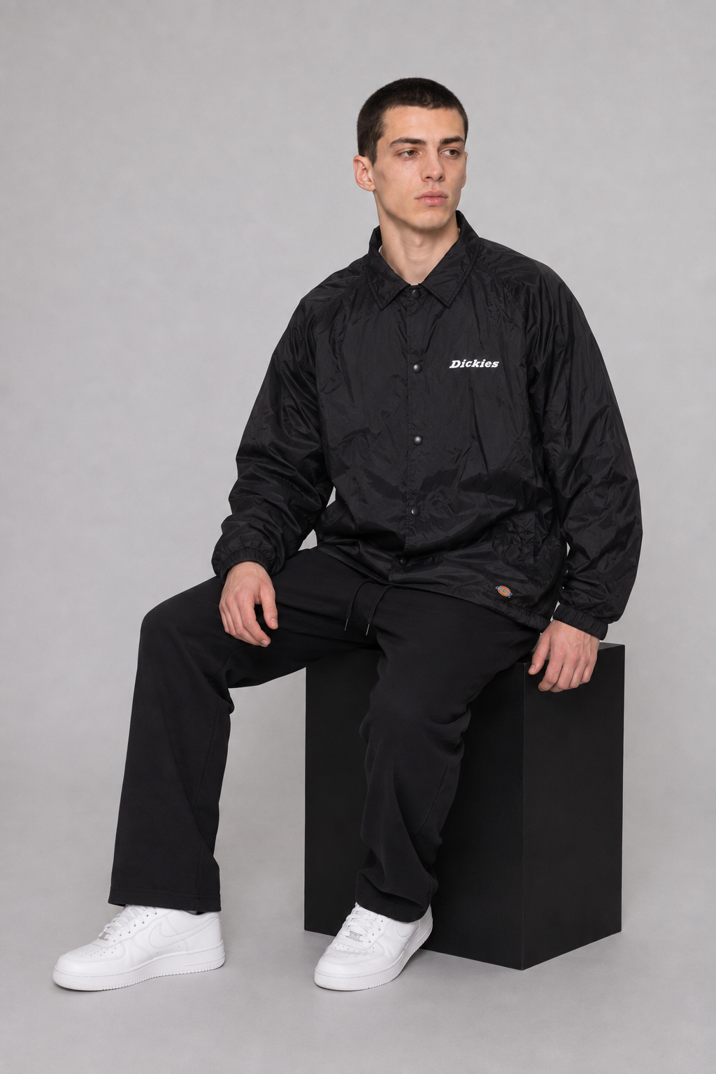 Dickies Jacke L