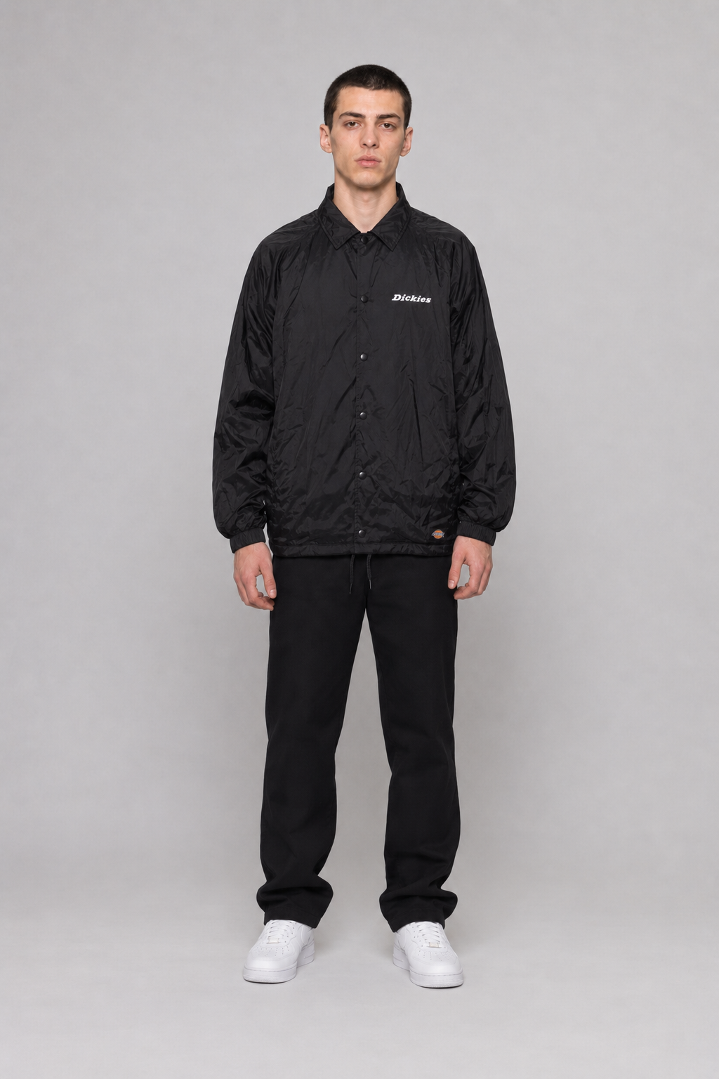 Dickies Jacke L