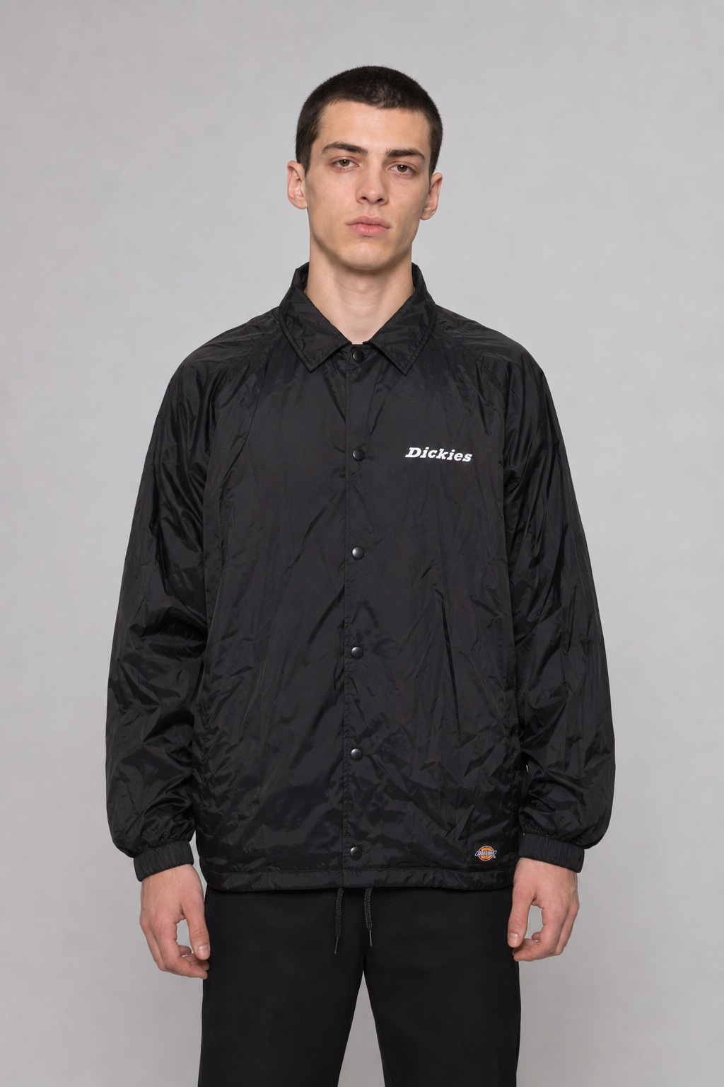 Dickies Jacke L
