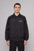 Dickies Jacke L